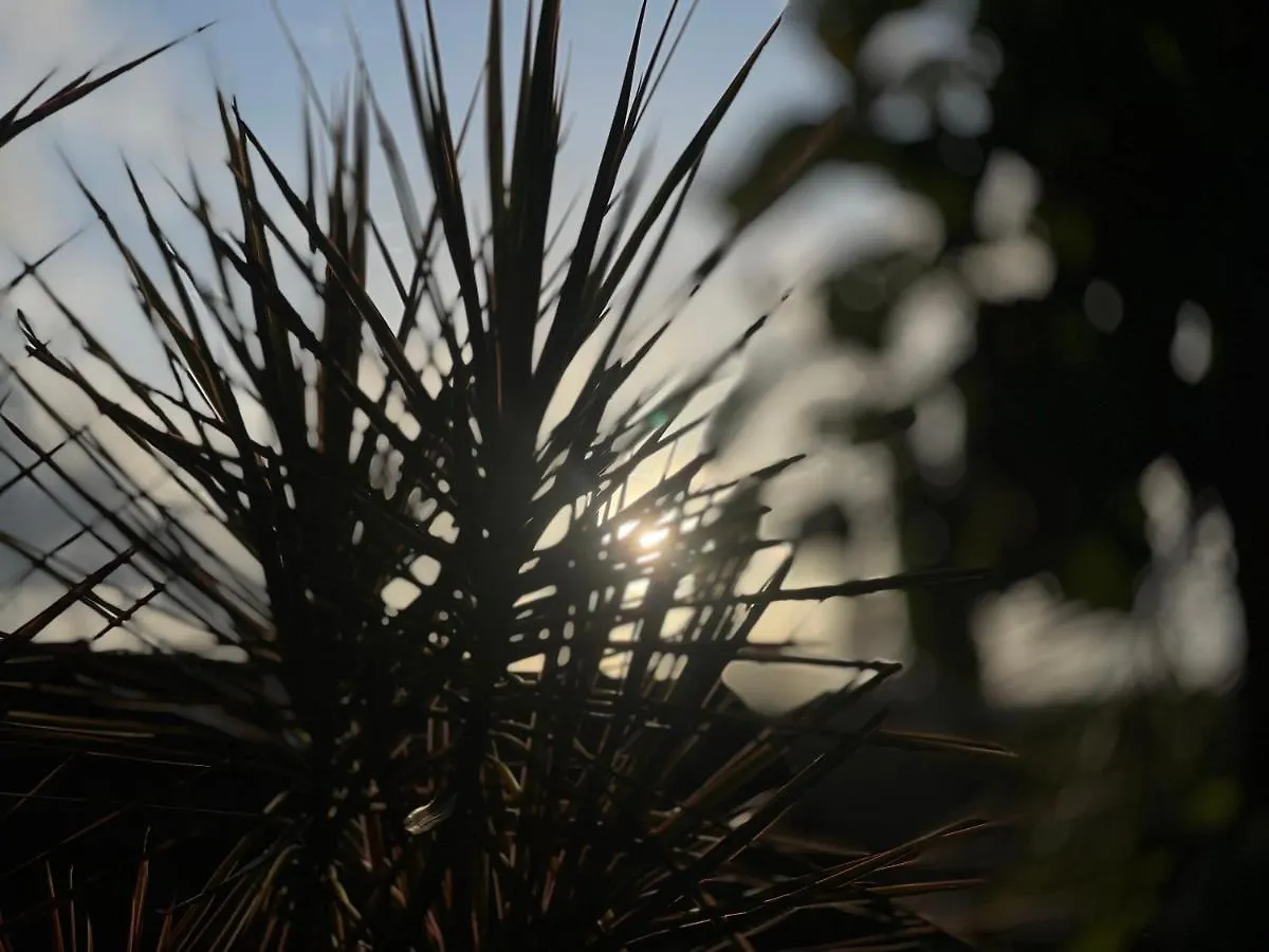 Sukrutham Farmstay Thrissur
